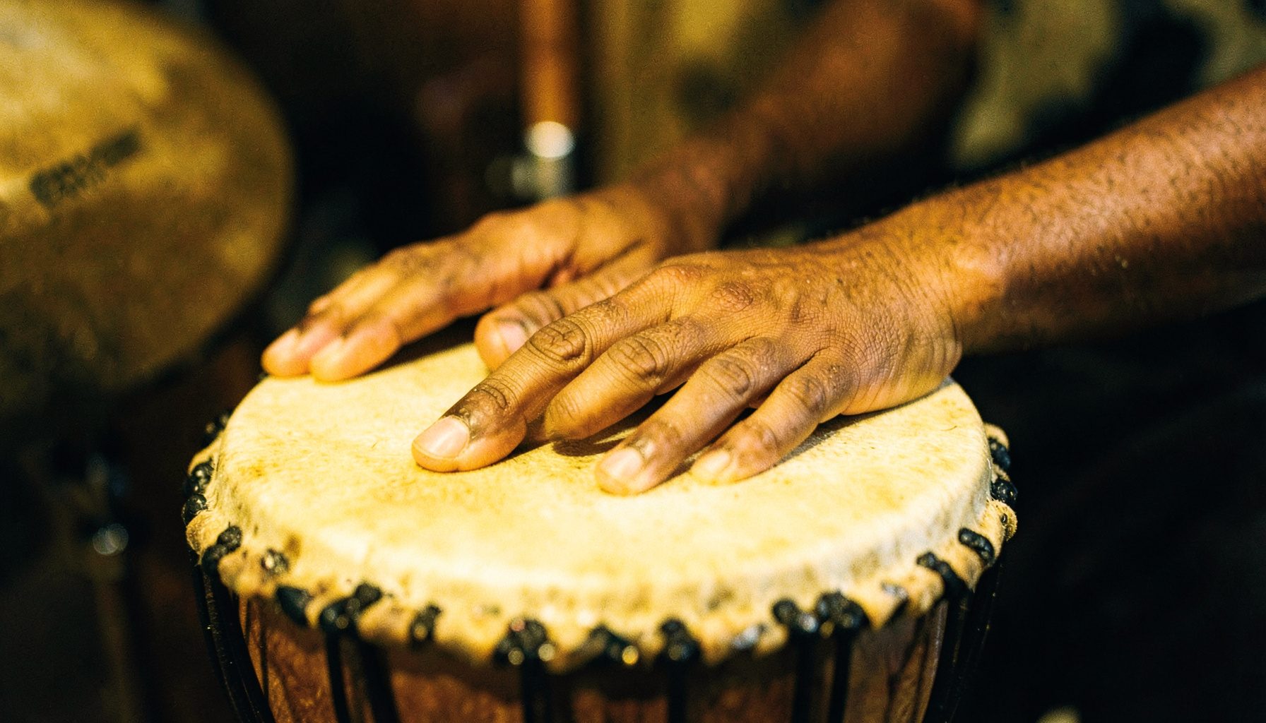 A warmly lit close-up of hands resting on a djembe drum head, rich brown skin tones against the natural goat-skin drum surface, soft shadows and golden ambient light suggesting an intimate rehearsal space.